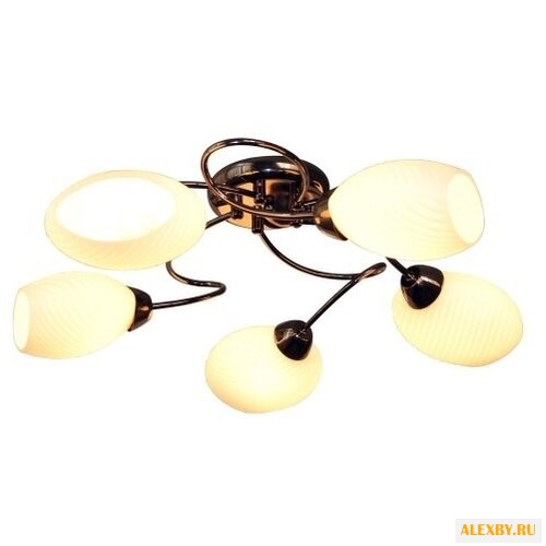 IDLamp Elda 853 5PF-Blackchrome