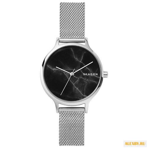 Наручные часы SKAGEN SKW2673