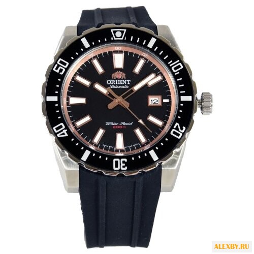 Наручные часы ORIENT AC09003B