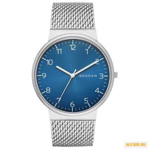 Наручные часы SKAGEN SKW6164