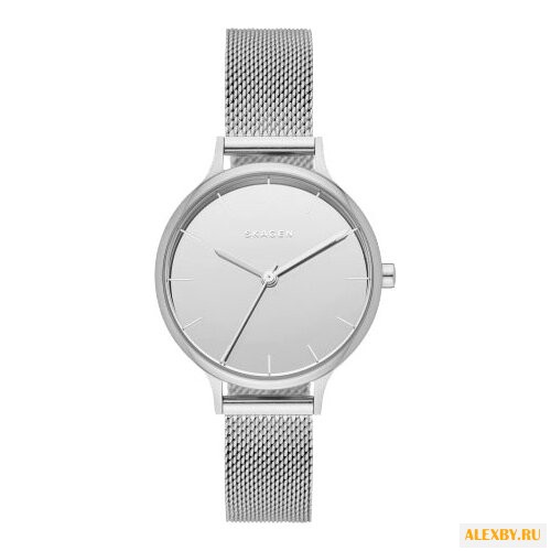 Наручные часы SKAGEN SKW2410