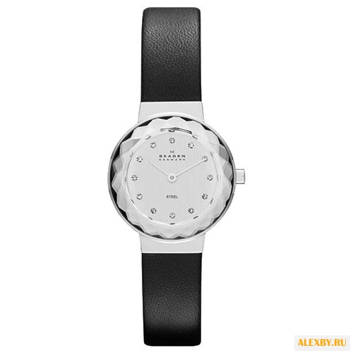 Наручные часы SKAGEN SKW2005