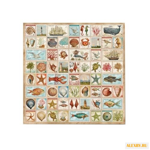 Бумага K&Company 31х31 см 12