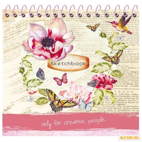 Скетчбук Проф-Пресс Махаон