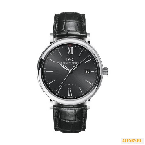 Наручные часы IWC IW356502