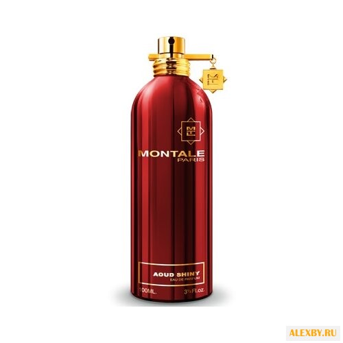 MONTALE Aoud Shiny
