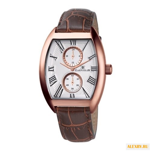 Наручные часы EARNSHAW ES-8004-04