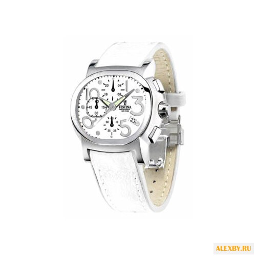 Наручные часы FESTINA F16180 7