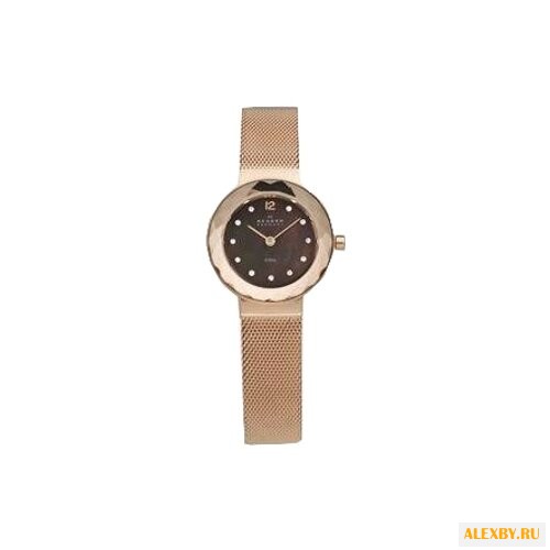 Наручные часы SKAGEN 456SRR1