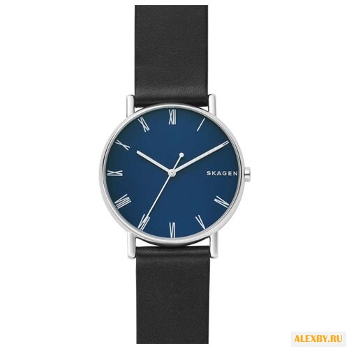 Наручные часы SKAGEN SKW6434