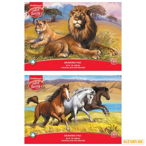 Альбом для рисования