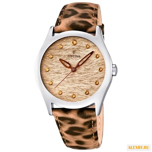 Наручные часы FESTINA F16648 4