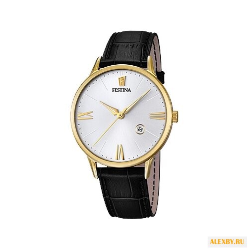 Наручные часы FESTINA F16825 1