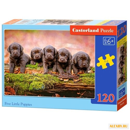 Пазл Castorland Five Little