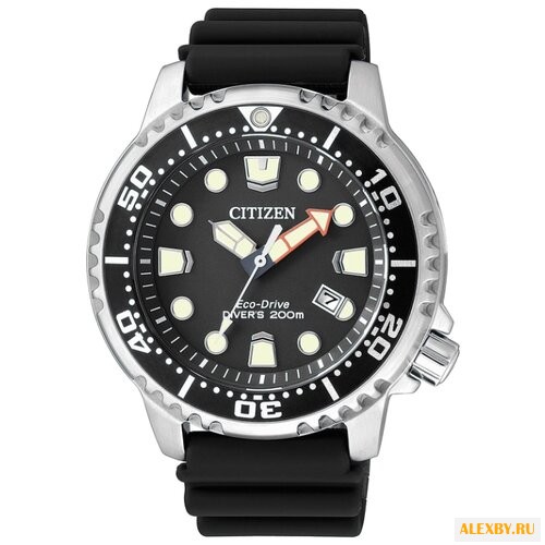 Наручные часы CITIZEN BN0150-10E