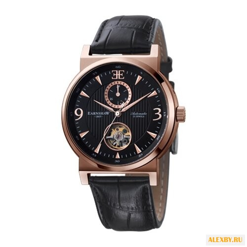 Наручные часы EARNSHAW ES-8012-03