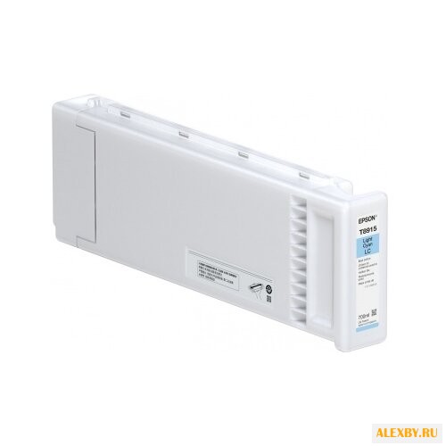 Картридж Epson C13T891500