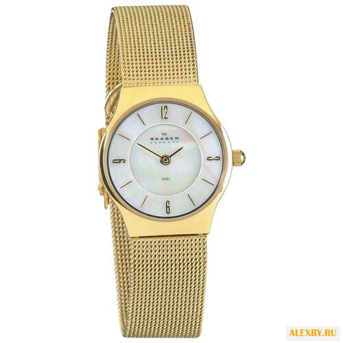 Наручные часы SKAGEN 233XSGG