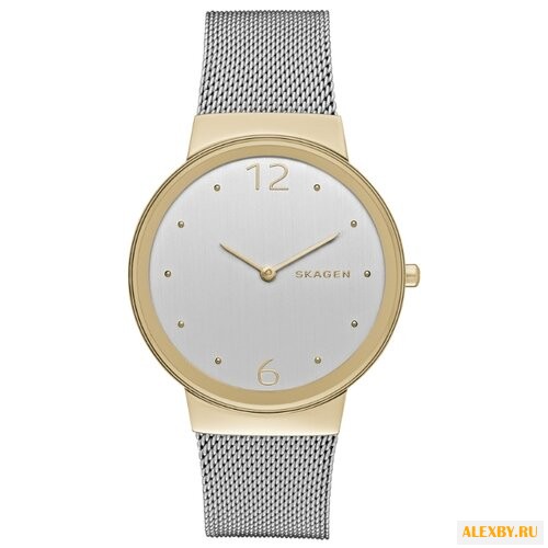 Наручные часы SKAGEN SKW2381