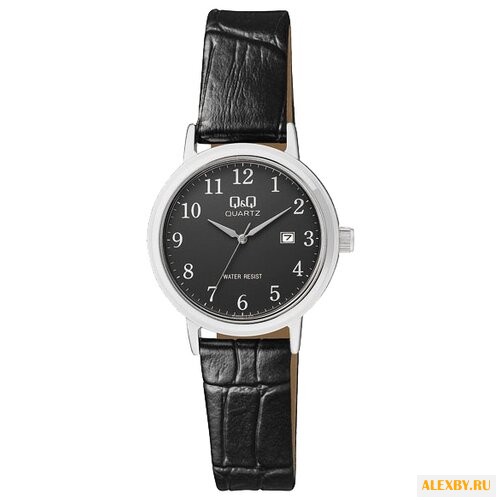 Наручные часы Q&Q BL63-305