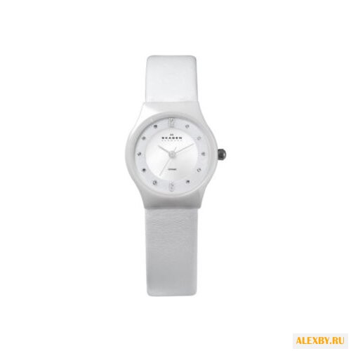 Наручные часы SKAGEN 233XSCLW