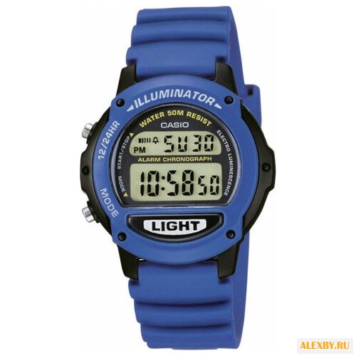 Наручные часы CASIO LW-22H-2A