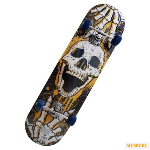 Скейтборд Shantou Gepai Skull