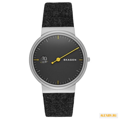 Наручные часы SKAGEN SKW6199