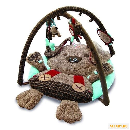 Развивающий коврик Little Bird