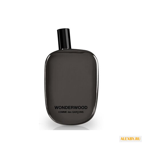 Comme Des Garcons Wonderwood