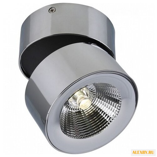 Divinare Urchin 1295 04 PL-1