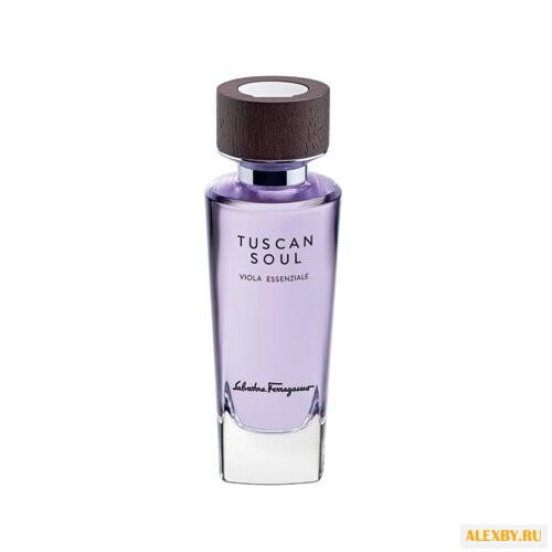 Salvatore Ferragamo Viola