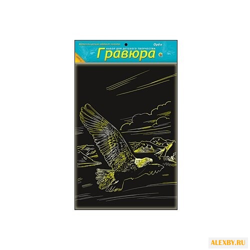 Гравюра Рыжий кот Орел в пакете