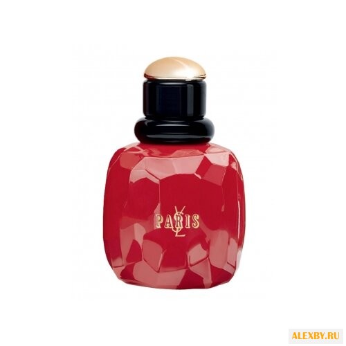 Yves Saint Laurent Paris Rebel