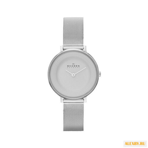 Наручные часы SKAGEN SKW2211