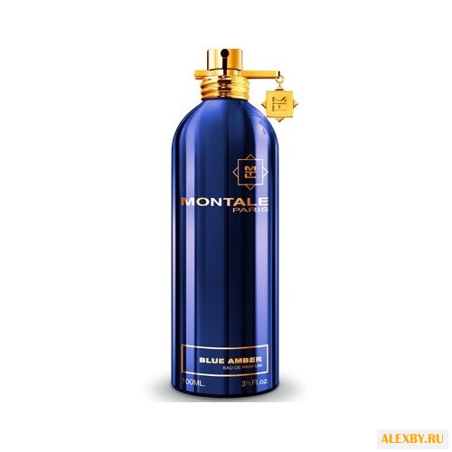 MONTALE Blue Amber