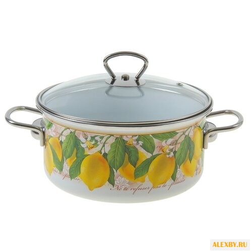 Кастрюля Vitross Limon 3 л