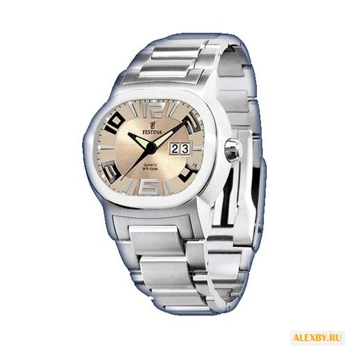 Наручные часы FESTINA F16123 6