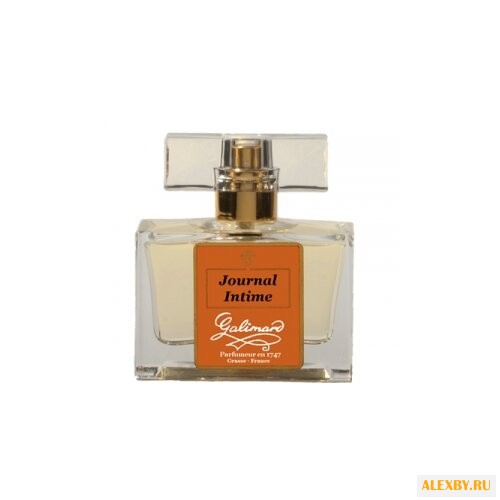 Galimard Journal Intime