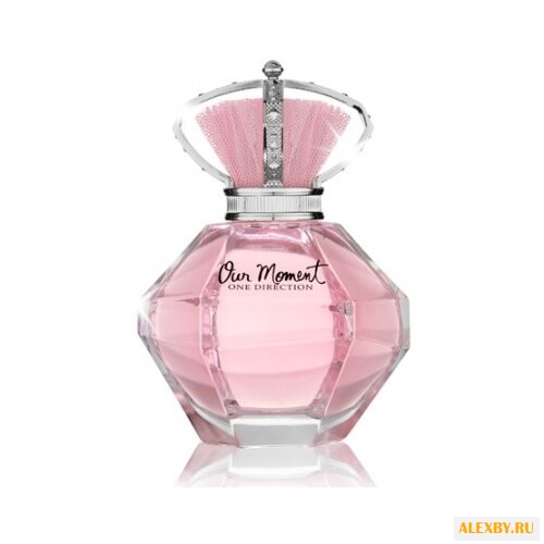 One Direction Our Moment