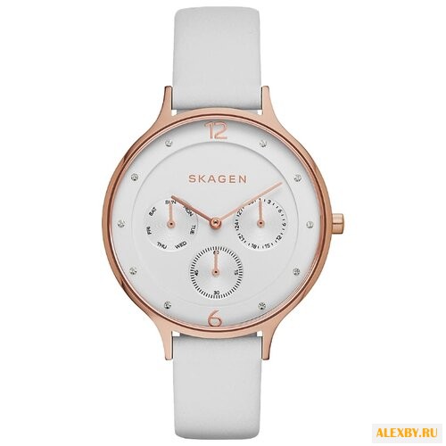 Наручные часы SKAGEN SKW2311