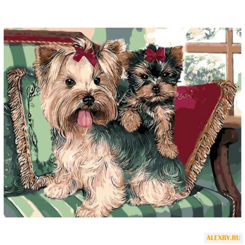 Цветной Картина по номерам