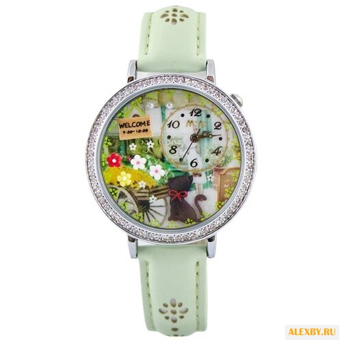 Наручные часы Mini MN1078