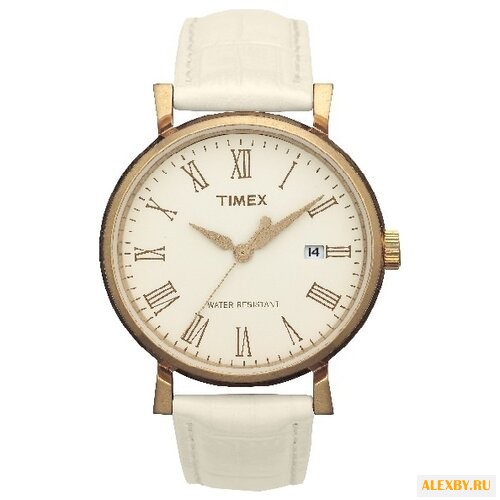 Наручные часы TIMEX T2N543