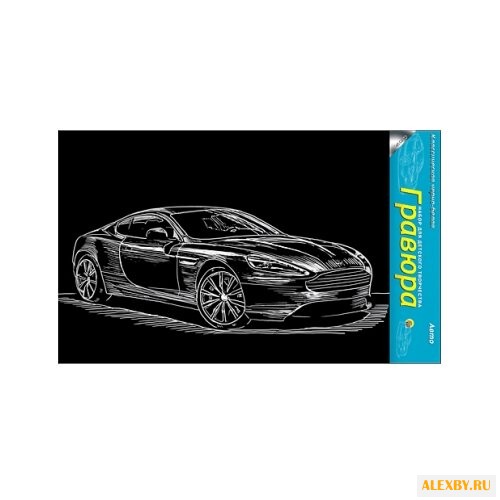 Гравюра Рыжий кот Авто в пакете