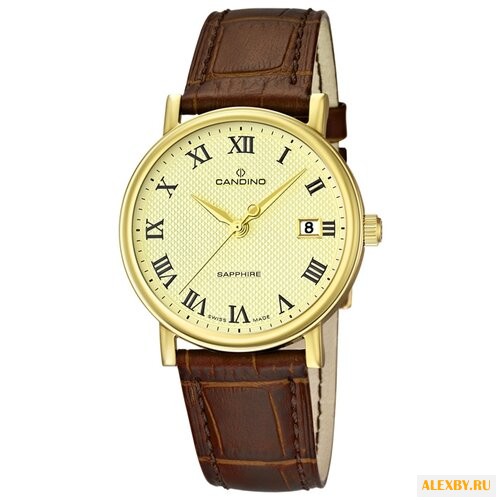 Наручные часы CANDINO C4489_4