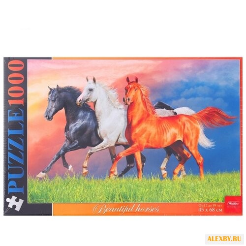 Пазл Hatber Красивые лошади