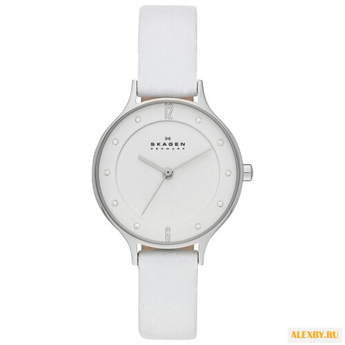Наручные часы SKAGEN SKW2145