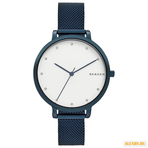 Наручные часы SKAGEN SKW2579
