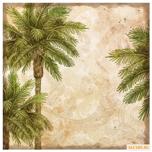 Бумага K&Company 31х31 см 25